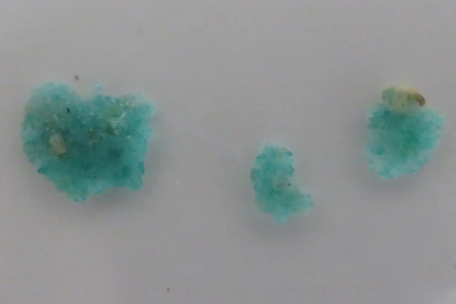 Blue Green Paste Seen On Birds