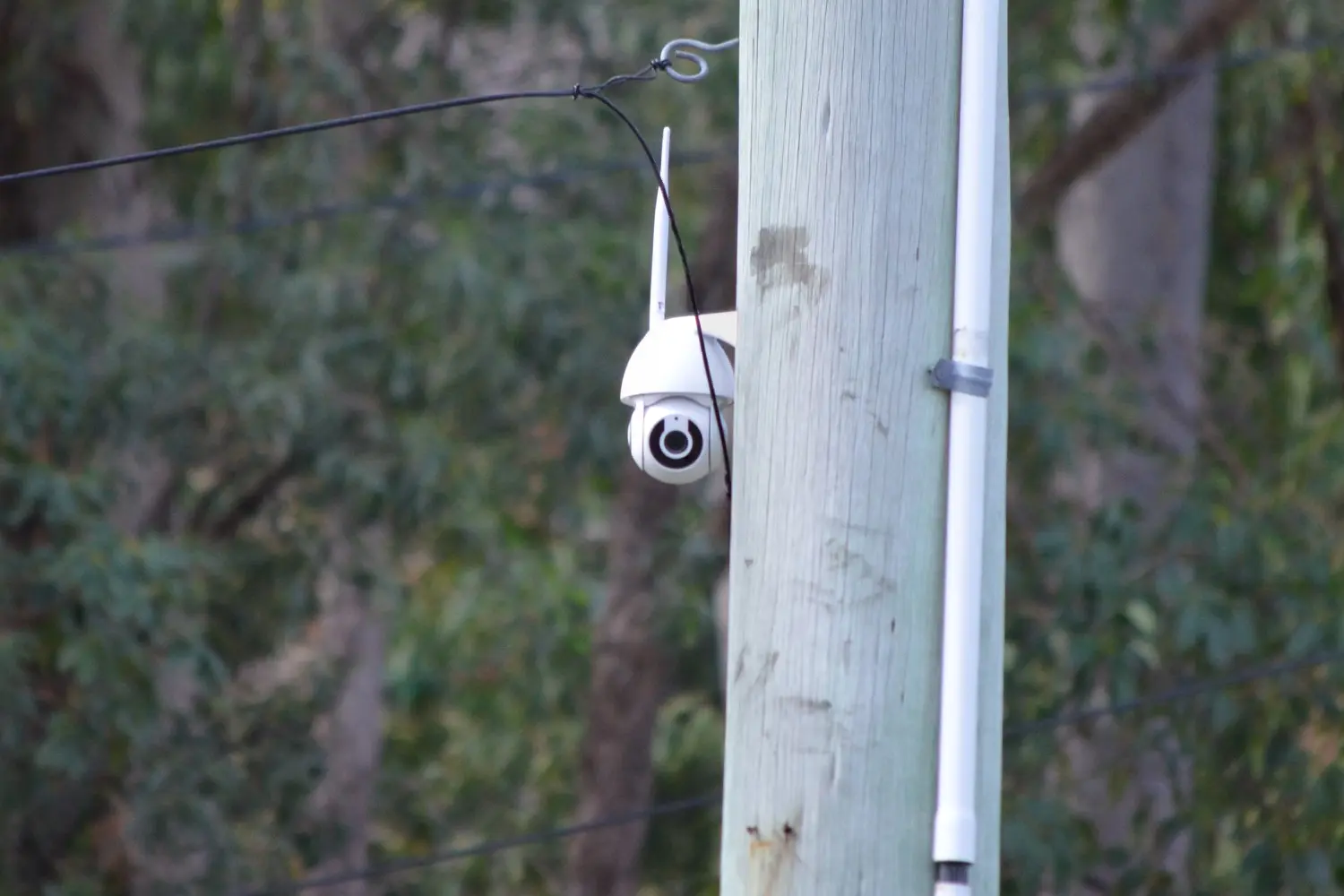Locals Keeping An Eye On Our Yard With Powerpole Mounted CCTV Close Up