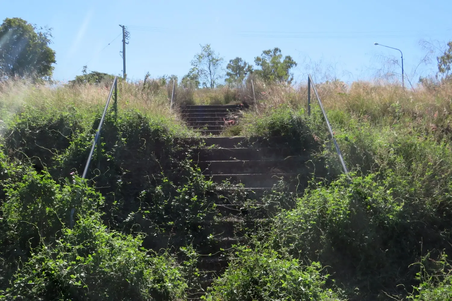 Overgrown Stairs To Nowhere