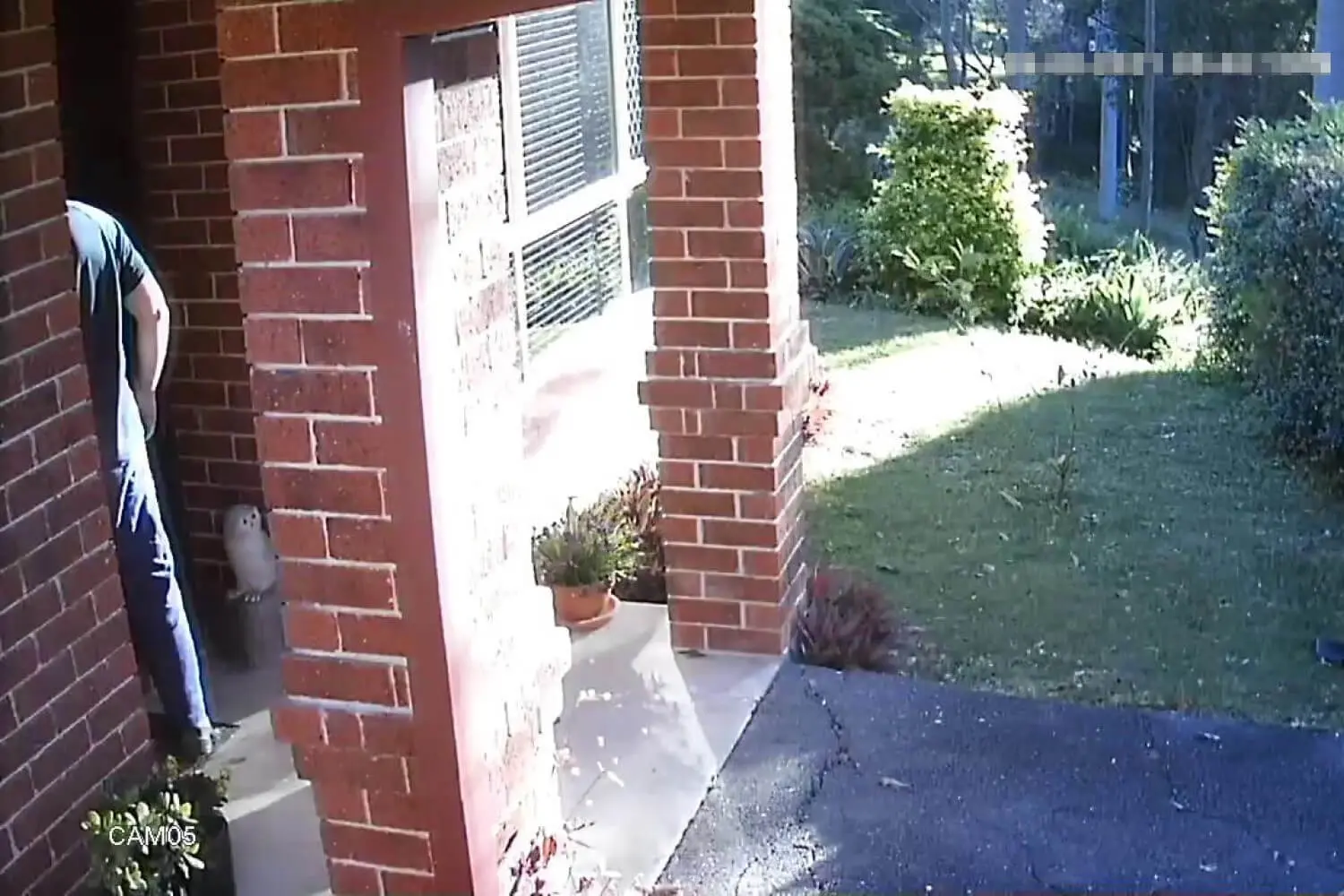 Local Threatens And Punches Door 4