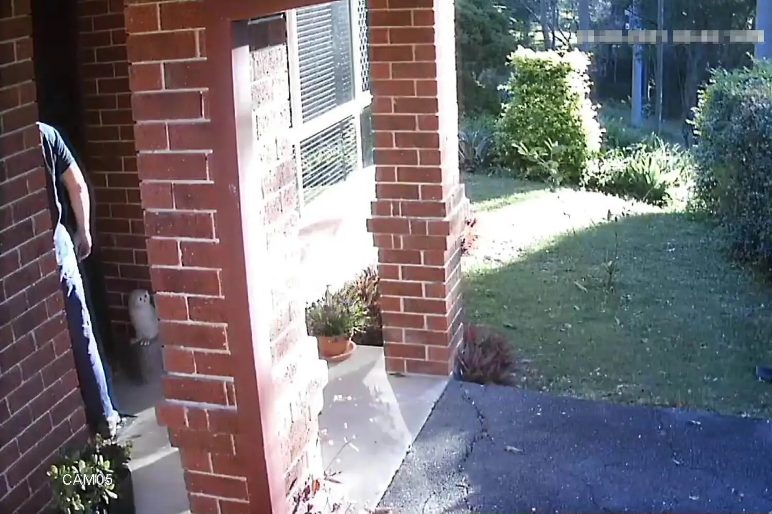 Local Threatens And Punches Door 5