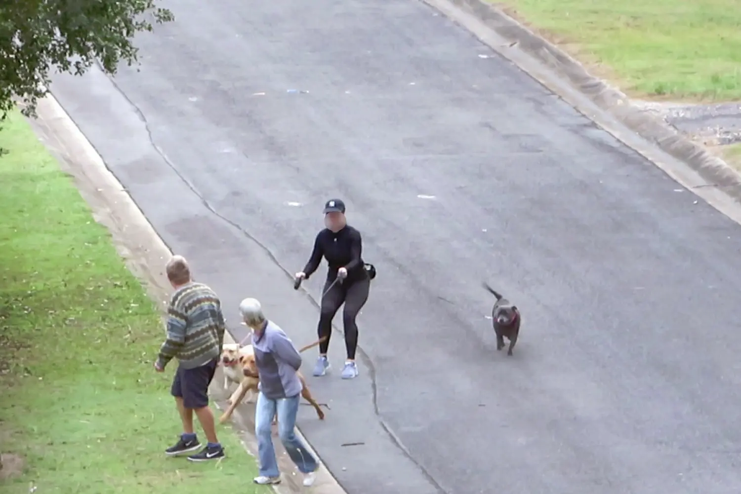 Couple Out For A Walk Now Having To Deal With Persons Dogs