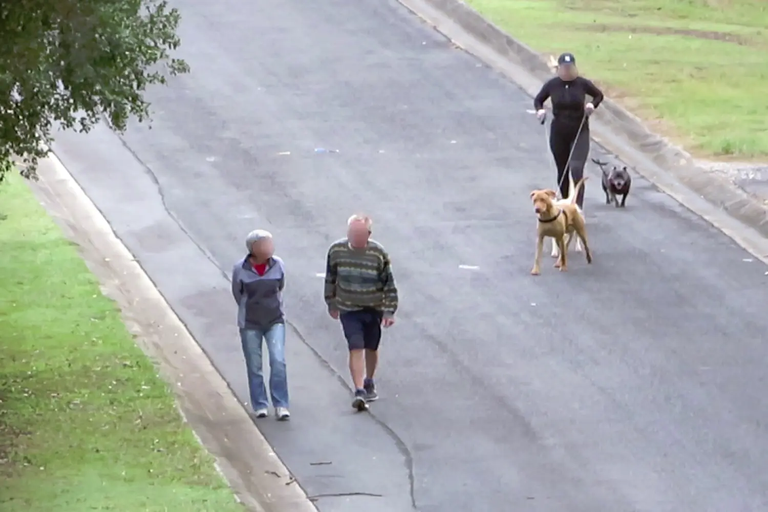 Couple Out For A Walk