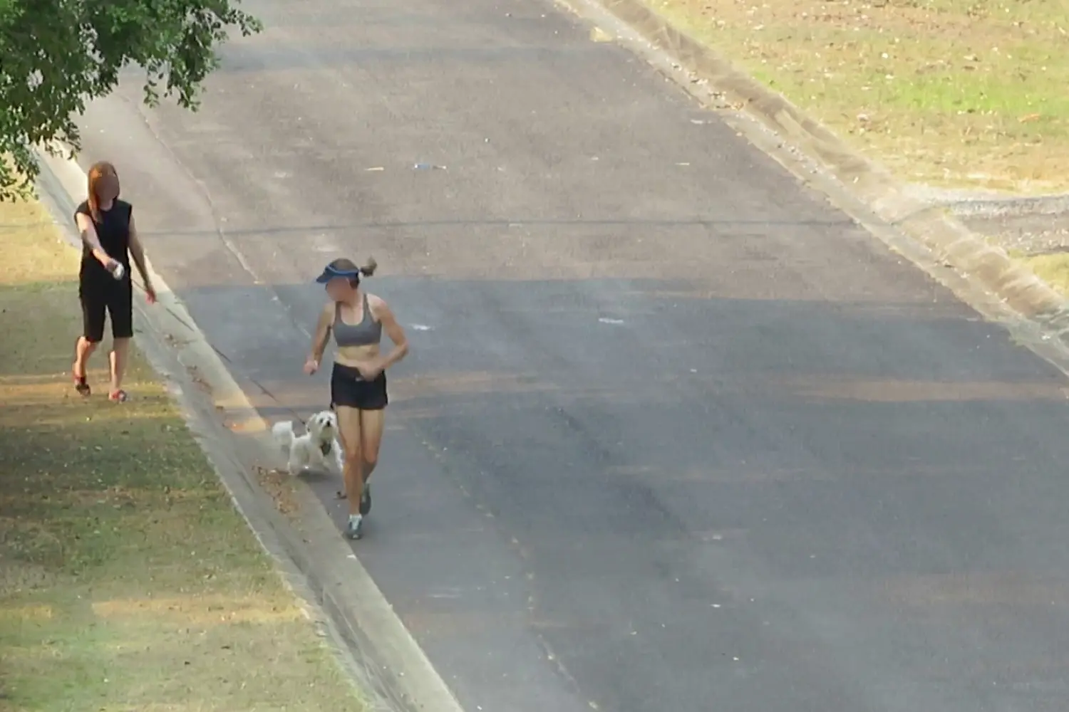 Dog Right Behind Runner