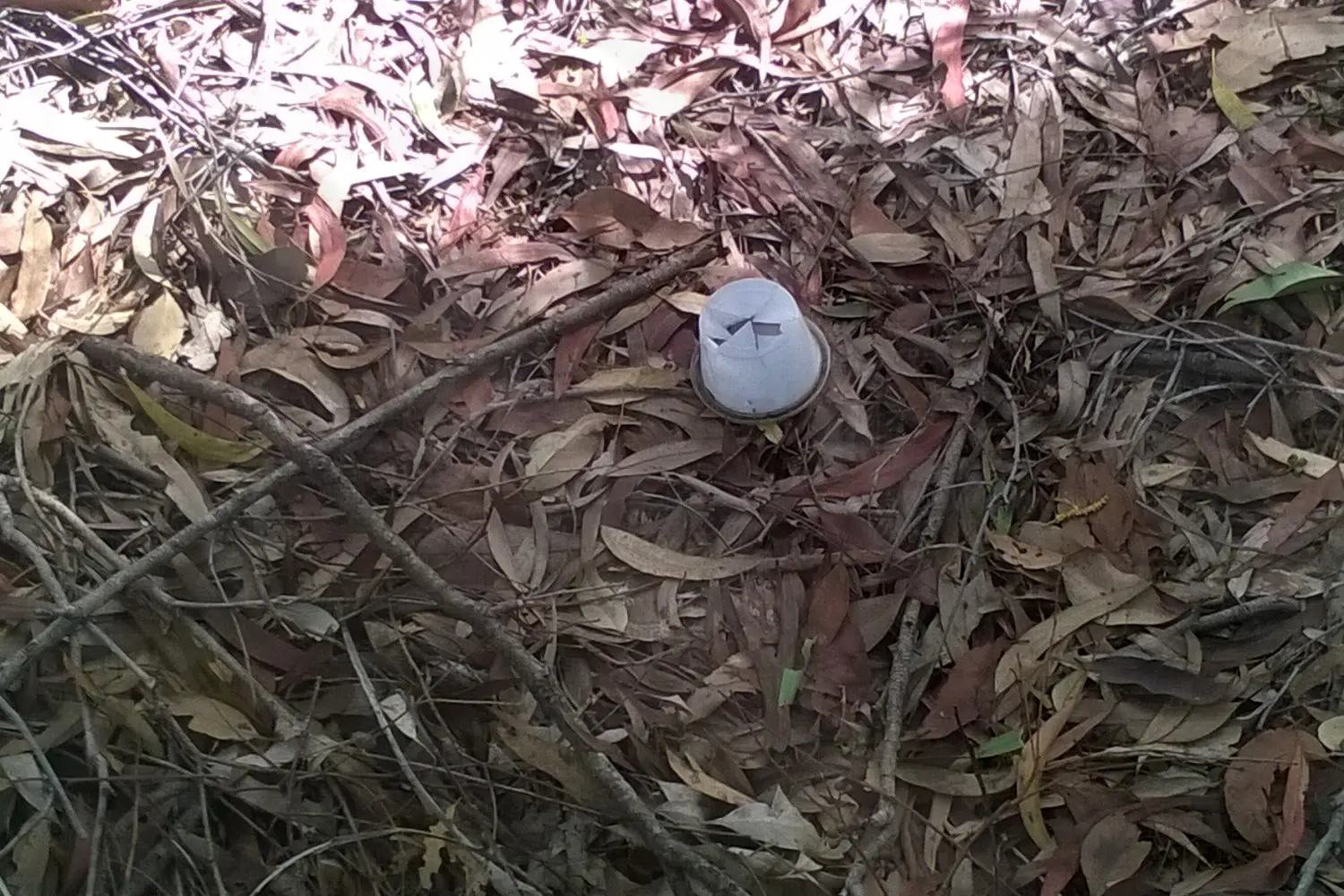 Strangely Sliced Containers Found On Ground