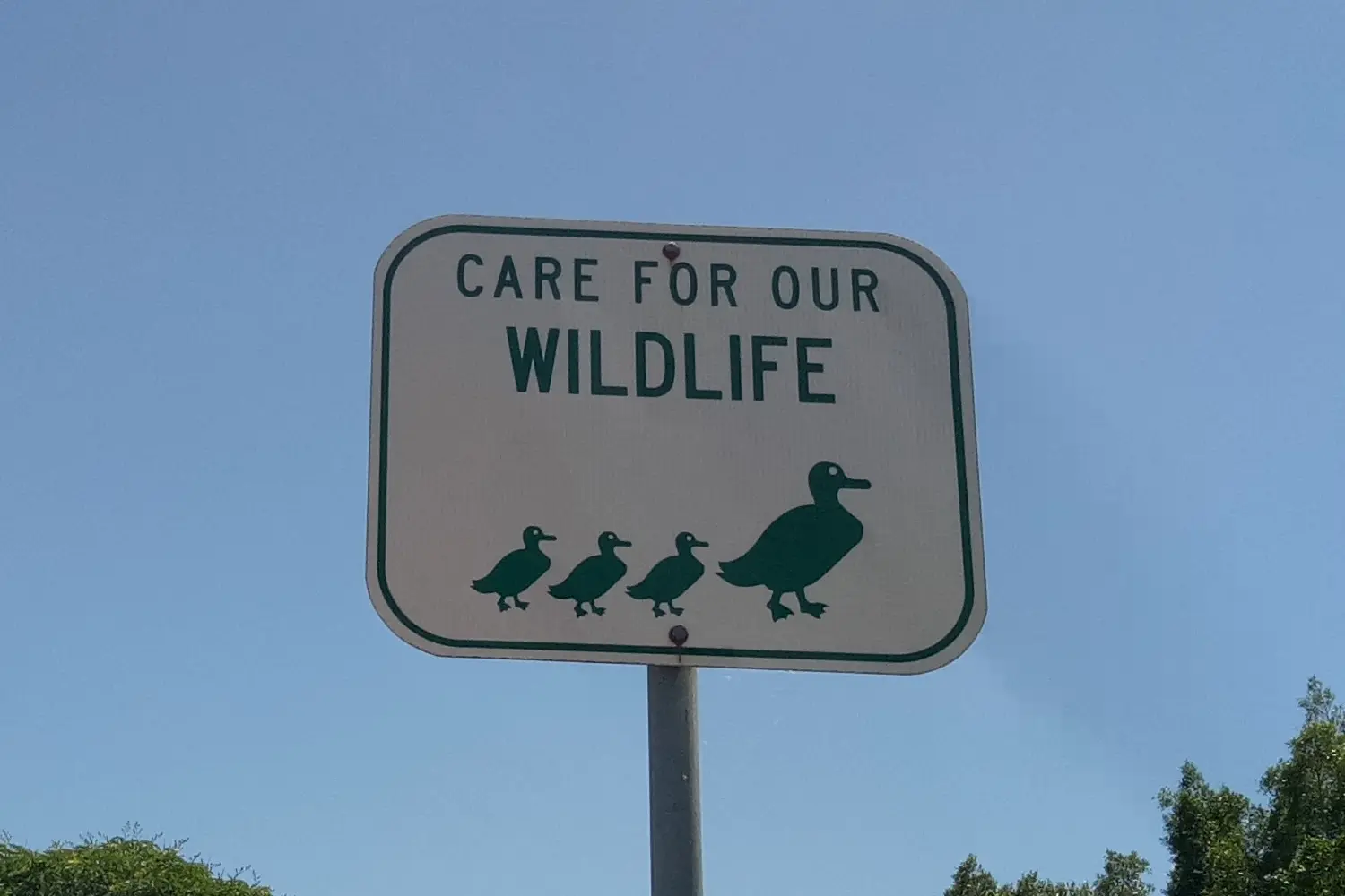 Sign Stating Care For Our Wildlife